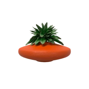 Macetas bonsai